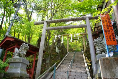 伊香保レポート 伊香保神社からの遊歩道を歩く 新緑編