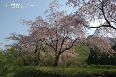 20120507ikaho-nagaminekouen1.jpg