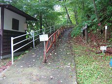 IMG_1234.jpg
