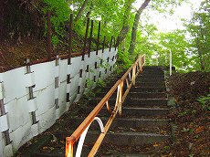 IMG_1241.jpg