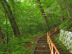 IMG_1243.jpg