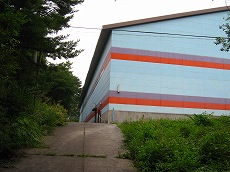 IMG_1247.jpg