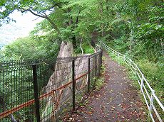 IMG_1792.jpg
