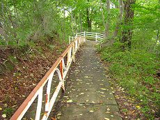 IMG_1793.jpg