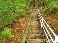 IMG_1794.jpg