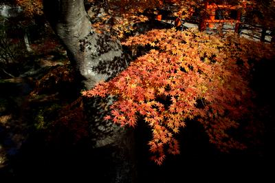 ikaho-20071113-001.jpg