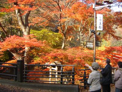 ikaho-20071113-003.jpg