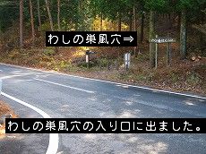 yuhodo006.jpg