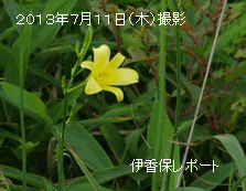yuusuge-harunako20130711-001.gif